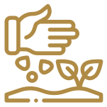 Fertilizer Plant Equipment Manufacturer